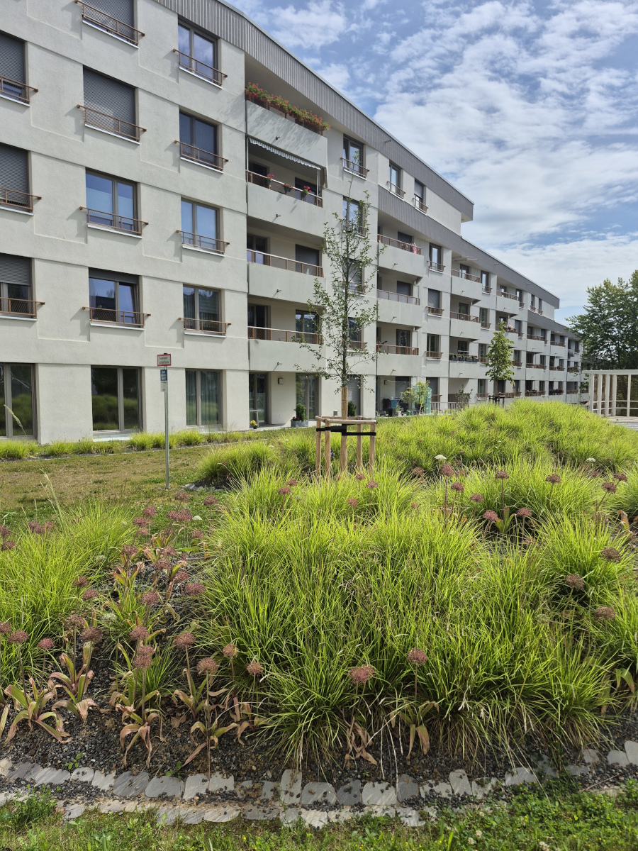 Wohnungsbaumaßnahme Freiberger Garten
